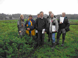Project leader Randi Seljåsen (furthest left) guiding a group of researchers in an organic field experiment at Landvik, discussing the green manure plot